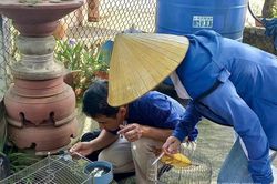 Chủ động phòng, chống dịch bệnh mùa mưa bão