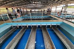 TP Hồ Chí Minh: Nhiều khu vực có thể bị gián đoạn cấp nước trong đêm 21/8