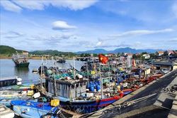 Từ Quảng Ninh đến Thanh Hóa chủ động ứng phó áp thấp nhiệt đới khả năng mạnh lên thành bão