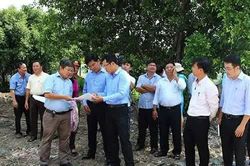 Thúc tiến độ giai đoạn 3 Công viên hồ Khánh Hội, TPHCM