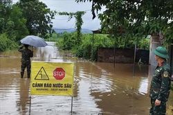 Mưa lớn gây ngập 1.687 ha diện tích nông nghiệp tại Bắc Ninh