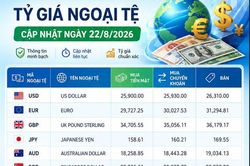 Tỷ giá ngoại tệ: 1 USD đổi bao nhiêu đồng Việt Nam?
