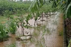 Hải Phòng: Bão số 4 mưa lớn gây ngập úng diện rộng và sạt lở đất tại nhiều khu vực