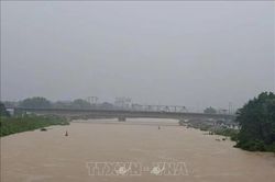 Cảnh báo lũ cao trên sông Lục Nam, sông Thương và sông Cửu Long