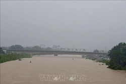 Cảnh báo lũ cao trên sông Lục Nam, sông Thương và sông Cửu Long