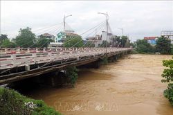 Thái Nguyên: Lũ trên sông Cầu dâng cao