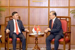 Đưa hợp tác song phương Việt Nam - Singapore phát triển toàn diện, đi vào chiều sâu, thực chất