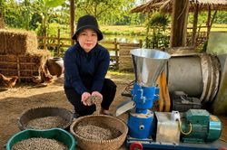 Sử dụng hiệu quả phụ phẩm nông nghiệp, bảo vệ môi trường