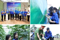 Tuổi trẻ chung tay x&acirc;y dựng n&ocirc;ng th&ocirc;n mới
