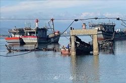 Hai tàu cá bị cháy khi đang neo đậu