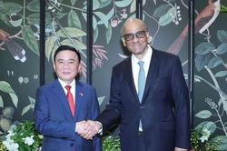 Singapore mong muốn cùng Việt Nam phát huy hiệu quả Đối tác Chiến lược toàn diện