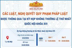 Các luật, nghị quyết quy phạm pháp luật được thông qua tại Kỳ họp không thường lệ thứ Nhất, Quốc hội khóa XVI