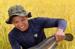 Chàng trai Cà Mau và hành trình 'sống cùng rừng'