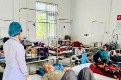Cục An to&agrave;n thực phẩm y&ecirc;u cầu khẩn trương điều tra vụ nghi ngộ độc b&aacute;nh m&igrave; tại Gia Lai