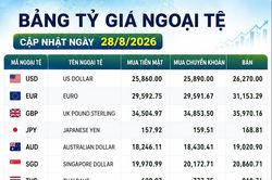 Tỷ giá ngoại tệ ngày 28/8: USD bán ra 26.270 đồng, Bảng Anh neo cao, euro vượt 31.000 đồng