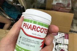 Đang l&agrave;m r&otilde; vụ bu&ocirc;n b&aacute;n thuốc ho Pharcoter giả tại chợ thuốc Hapulico