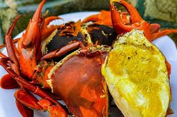 Vị ngon vùng đất mặn