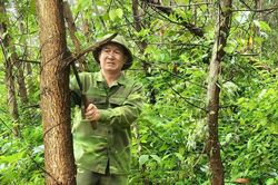 Vượt qua thương tật, vươn lên làm kinh tế giỏi