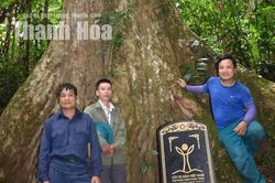 Bảo tồn tính đa dạng sinh học gắn với phát triển du lịch cộng đồng