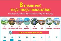 Thông tin về 8 thành phố trực thuộc Trung ương