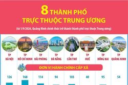 Thông tin về 8 thành phố trực thuộc Trung ương
