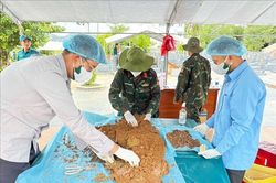 Tận dụng mọi phương thức tìm kiếm, quy tập và xác định danh tính hài cốt liệt sĩ