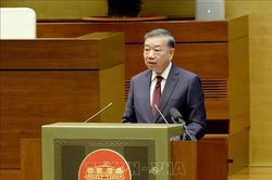 Tổng Bí thư, Chủ tịch nước Tô Lâm: Giá trị của văn kiện phải thể hiện ở khả năng giải quyết thực tiễn