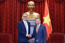 Tổng Bí thư, Chủ tịch nước Tô Lâm tiếp Đại sứ Cộng hòa Pháp tại Việt Nam