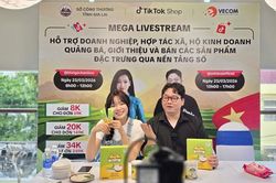 Xúc tiến thương mại số: Doanh nghiệp cần chủ động bảo vệ thương hiệu