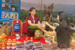 Mở hướng phát triển sản phẩm OCOP Tủa Chùa
