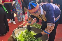Lào Cai tổ chức Festival Trà Shan tuyết năm 2026 diễn ra từ ngày 25 - 27/9