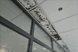Khắc phục tình trạng thấm, dột tại dự án nâng cấp Bệnh viện Đa khoa Đắk Nông