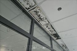 Khắc phục tình trạng thấm, dột tại dự án nâng cấp Bệnh viện Đa khoa Đắk Nông
