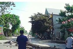Bị cây đang cưa ven đường đổ trúng, người đi xe máy tử vong