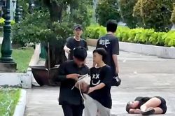 TPHCM: Bắt nhóm thanh niên mặc áo đen, đạp vào đầu cô gái rồi cướp túi xách ở công viên