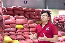 Nông dân trẻ xây chuỗi giá trị, đưa hạt gạo quê hương vươn xa