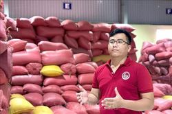 Nông dân trẻ xây chuỗi giá trị, đưa hạt gạo quê hương vươn xa
