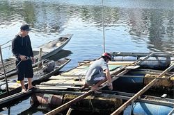Tháo dỡ lồng bè, trả lại không gian xanh cho sông Như Ý