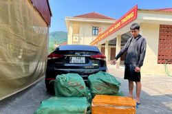 Quảng Ninh: Phát hiện gần 300kg nầm lợn đông lạnh không rõ nguồn gốc.