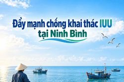 Ninh Bình hoàn thành 100% nhiệm vụ chống khai thác IUU