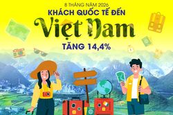 Khách quốc tế đến Việt Nam tăng 14,4% trong 8 tháng năm 2026
