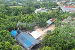 Lào Cai: Môi trường sống bị đe dọa từ những lò đốt than củi tại xã Xuân Ái
