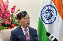 Việt Nam có nhiều cơ hội kết nối sâu hơn với BRICS