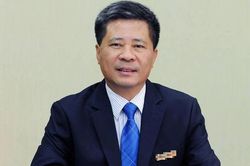 Cựu chủ tịch Tổng công ty truyền tải điện quốc gia Đặng Phan Tường bị khởi tố