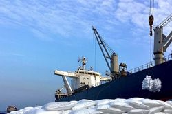 Xuất khẩu phân bón vượt 1 tỷ USD, doanh nghiệp giảm dần phụ thuộc