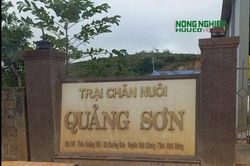 Siết chặt công tác quản lý và bảo vệ môi trường trong lĩnh vực chăn nuôi