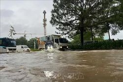 Phường Sơn Tây (Hà Nội) chủ động di dời dân tại khu vực ngập sâu