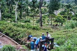 Xã Tây Đô: Mưa lớn làm ảnh hưởng gần 63 ha cây trồng