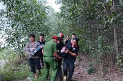 Bị ong vò vẽ đốt khi đi hái nấm, người phụ nữ sốc phản vệ độ 3