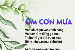 Ôm cơn mưa